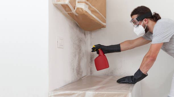 Professional Crawl Space Mold Remediation technician working in Bennett, NC