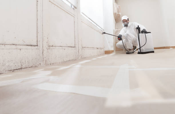 24/7 Emergency Crawl Space Mold Remediation experts in Bennett, NC