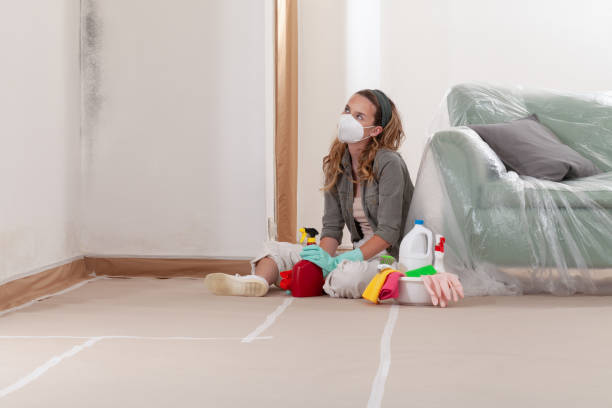 Reliable Crawl Space Mold Remediation contractor in Bennett, NC by Mold Remediation HQ