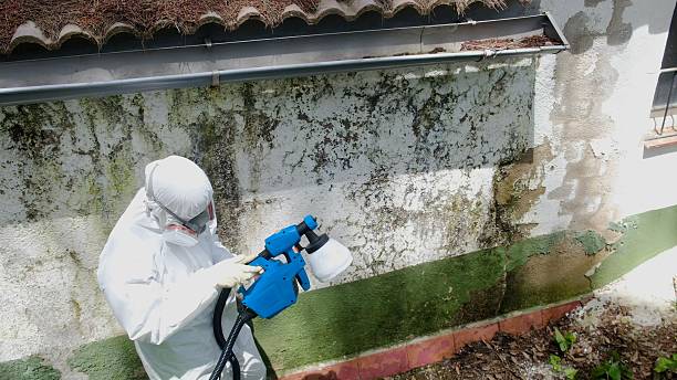 Top rated local Crawl Space Mold Remediation specialists in Bennett, NC